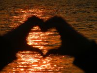 Heartwaves