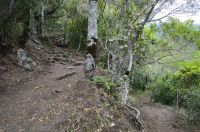 mini-20190912_LaReunion_LaRocheMerveilleuse_11
