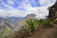 mini-20190913_LaReunion_CapNoir_Kelonia_06